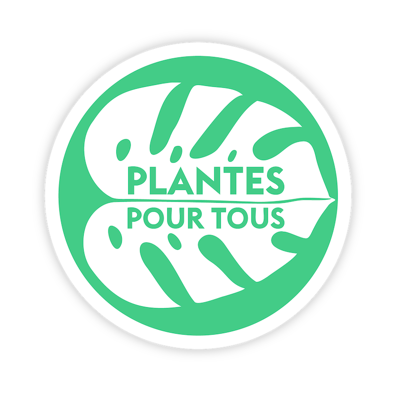 LOGO PPT HD FR
